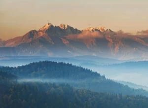 Dieta wegańska co warto wiedzieć
